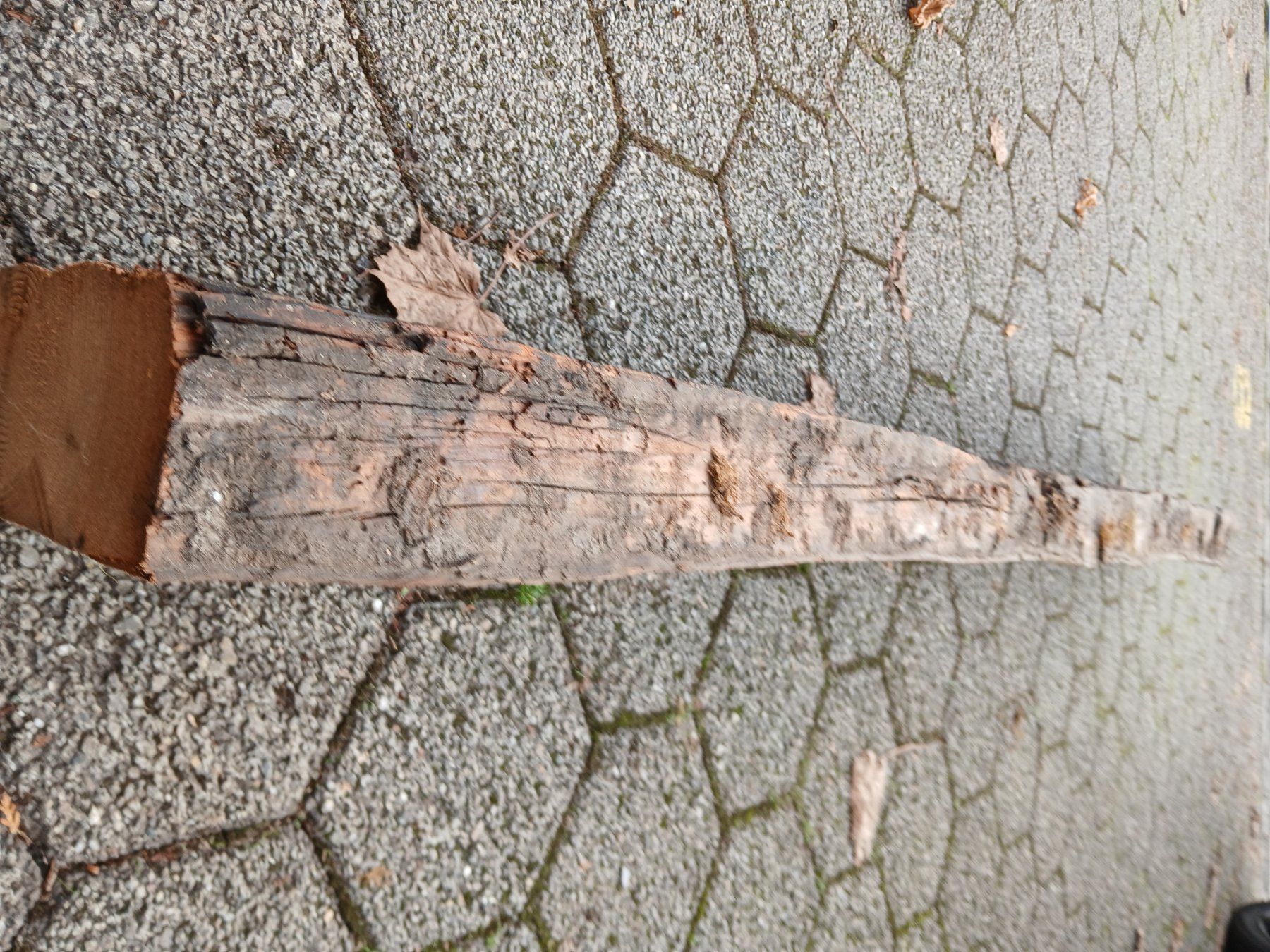 Articoli in legno: Altholzbalken Lärche – Usato da Zuchwil venduto da pedu79 2