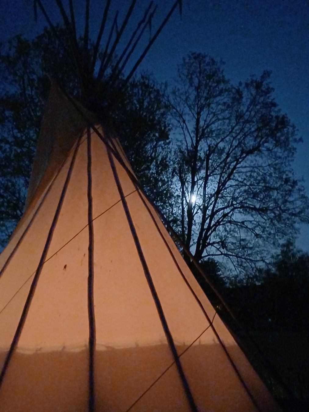 Zelte & Pavillons: Tipi – Gebraucht aus Henau von tipi91 3