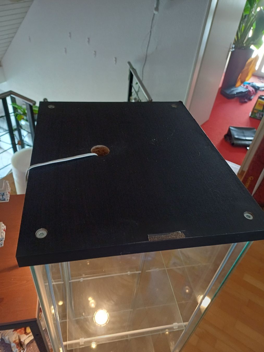 Ikea Vetrine: Ikea Vitrine DETOLF – Usato da Lohn-Ammannsegg venduto da kill-bidi 2