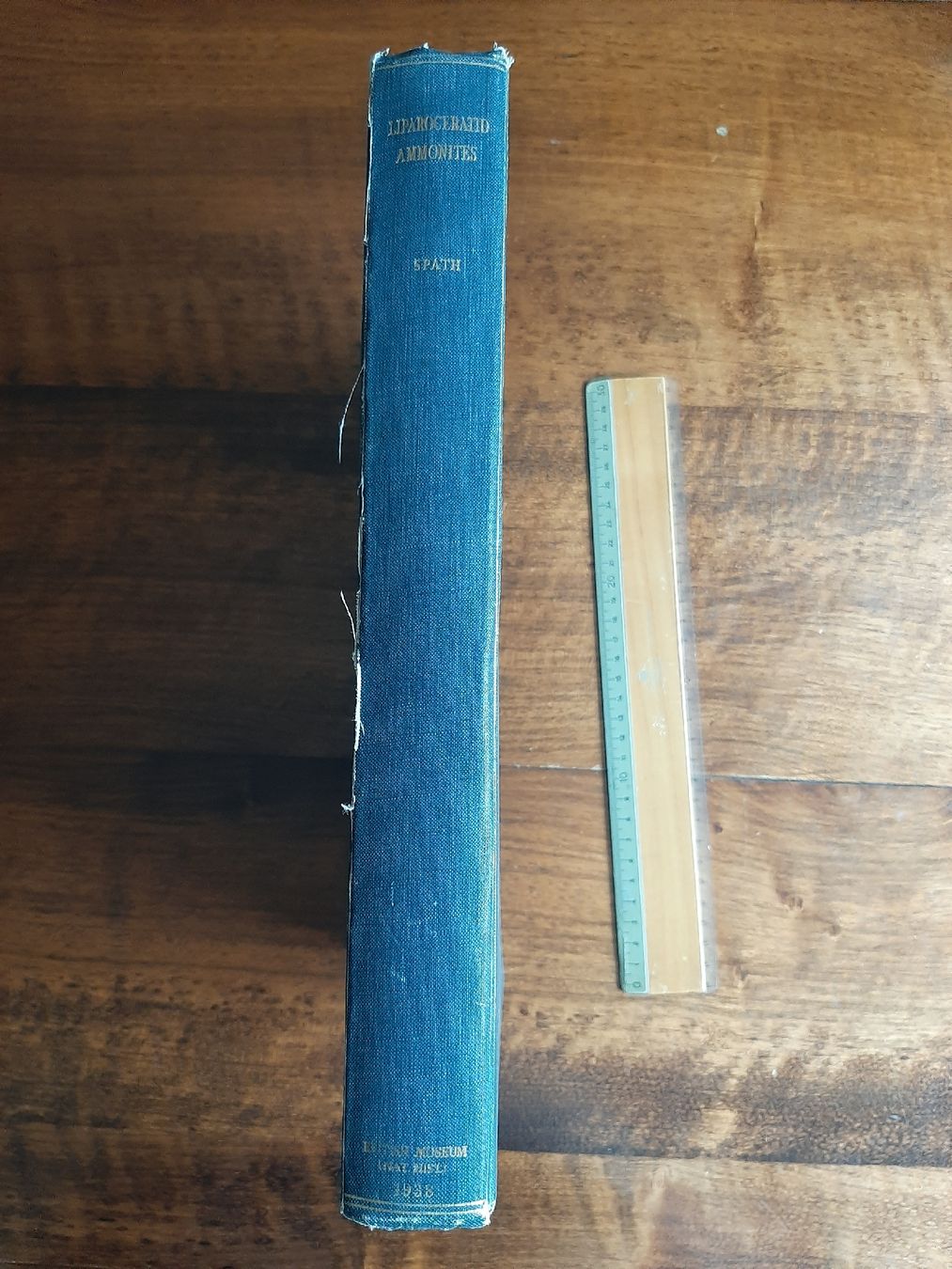Libri: Fossilien Ammoniten Buch über Liparoceras – Usato da Rickenbach BL venduto da Oktober68 4