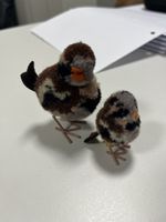 Steiff Vogel grösser ca 7cm Steiff Vogel kleiner ca 4.5cm