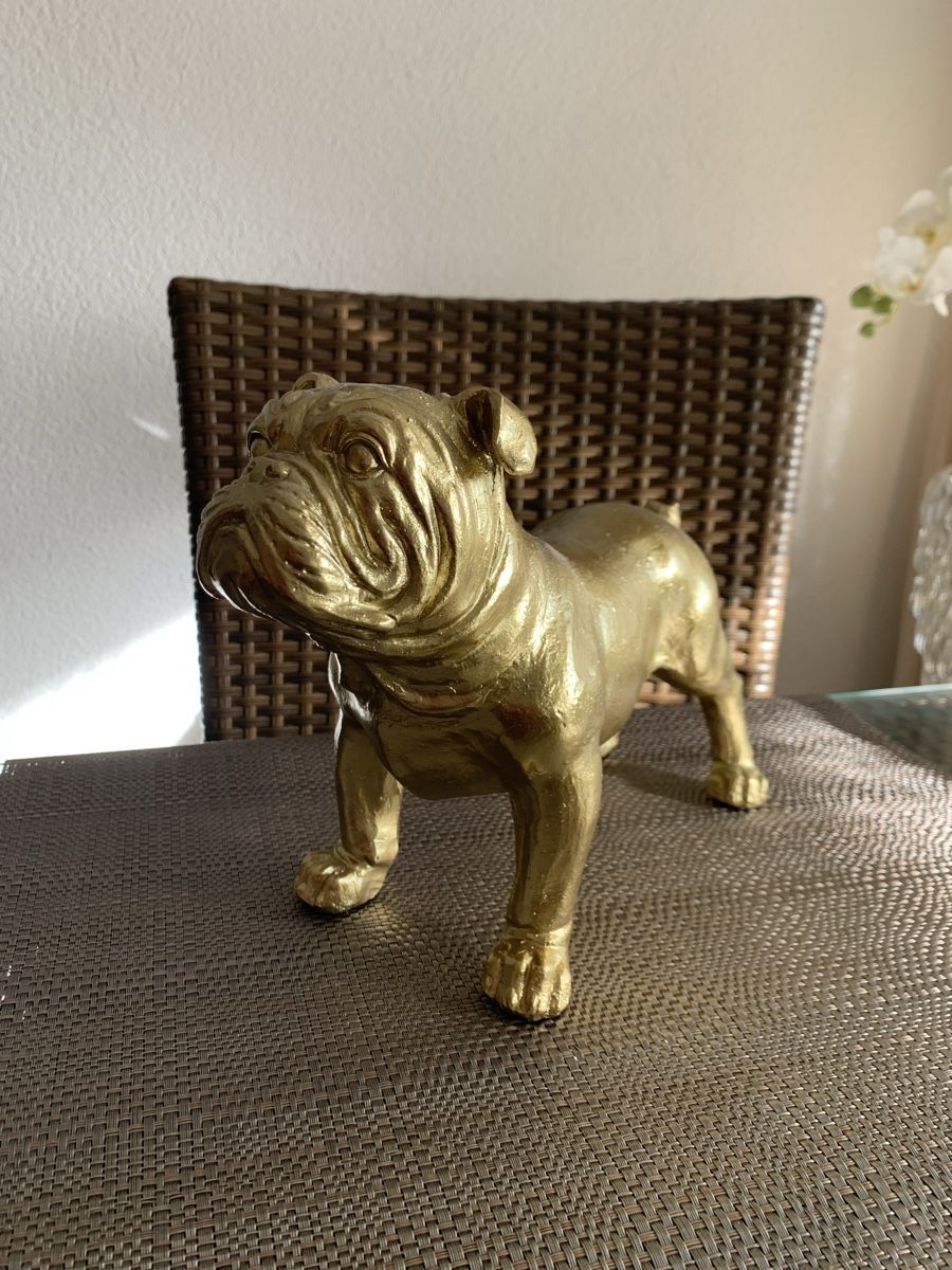 Statuette: Goldige Bulldogge – Nuovo (secondo la descrizione) da Emmenbrücke venduto da Dior09 4