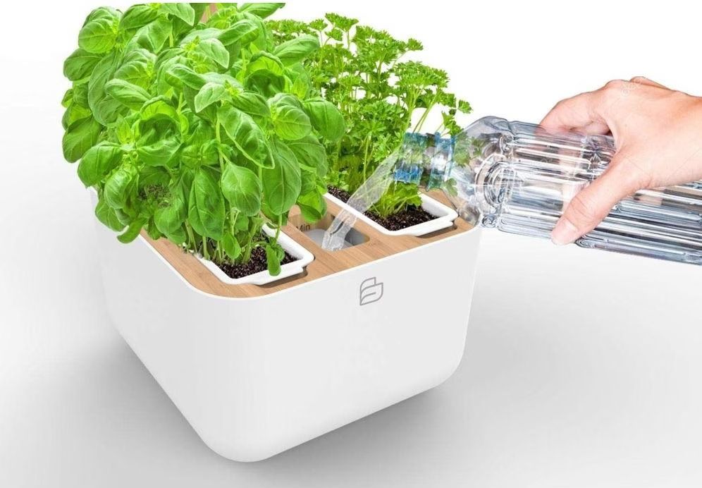 Autres: Véritable Botaneo Eylo - potager de cuisine – D'occasion à Bottens par sundea 3