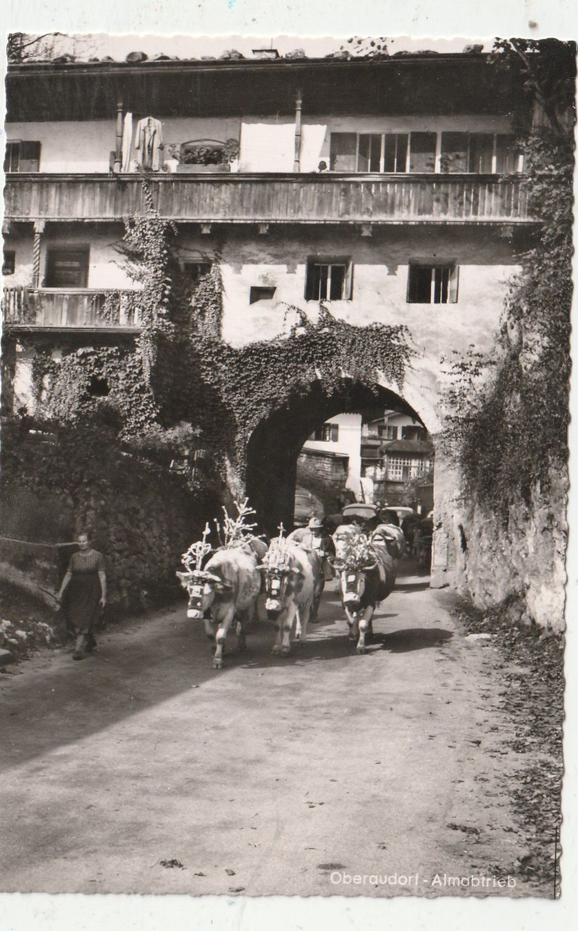 Cartoline postali: Oberaudorf Almabzug – Usato da Lumbrein venduto da made02