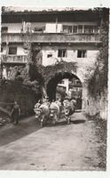 Oberaudorf Almabzug