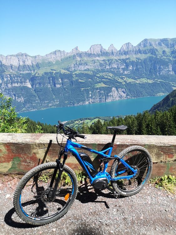 Wunderschone Fischer E Mountainbike Ebenbild