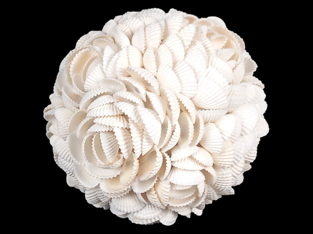 Tutte le decorazioni: Muschelkugel Rosenmuster – Usato da Hünenberg venduto da Restwert_Zug
