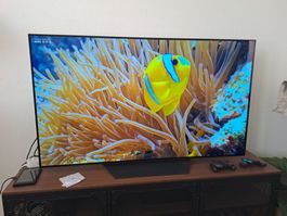 LG Oled TV 55" (LG oled55B19LA)