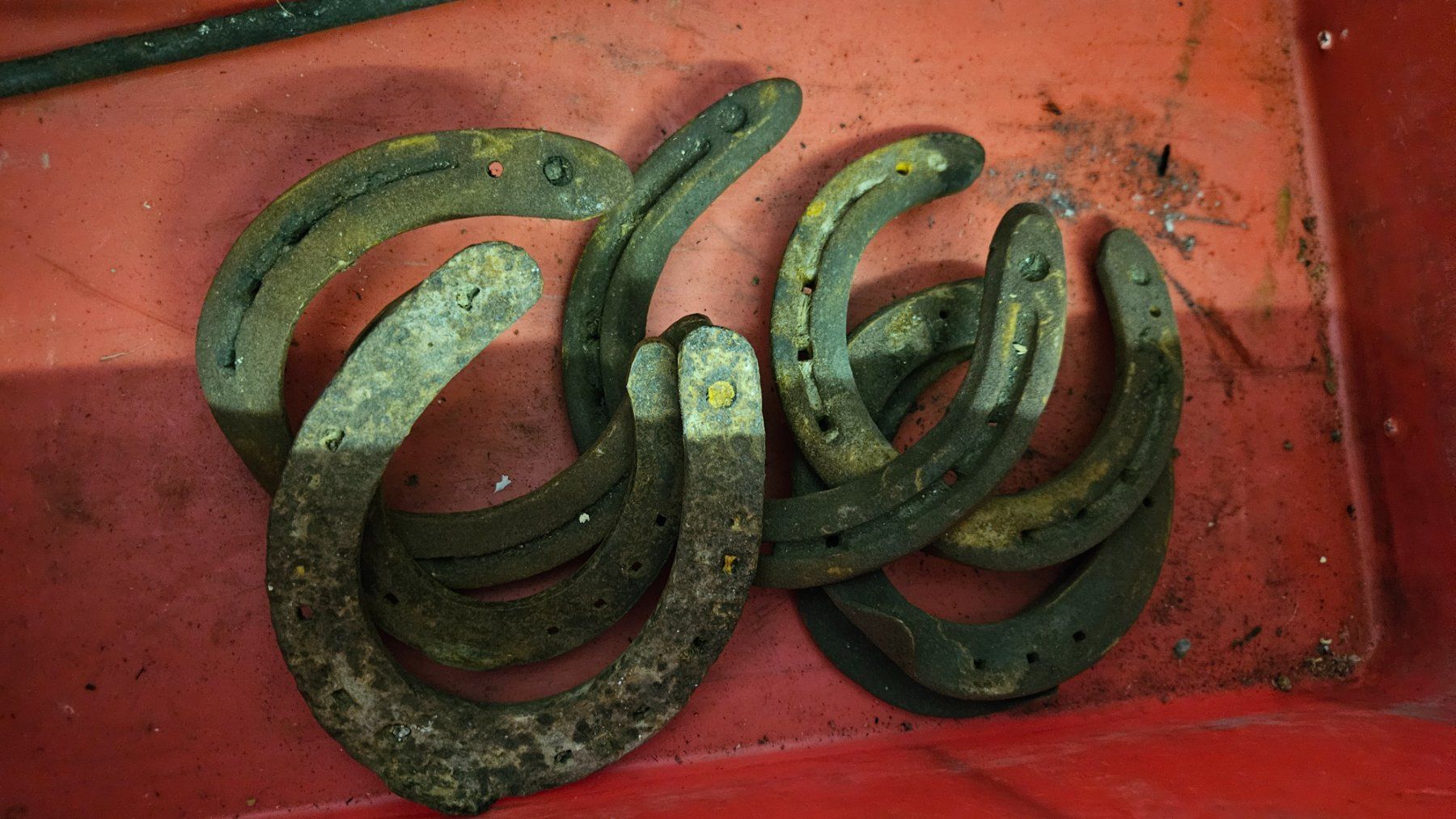Altro in Accessori per animali: 7 ferri di cavallo – Usato da Melano venduto da H-Sara