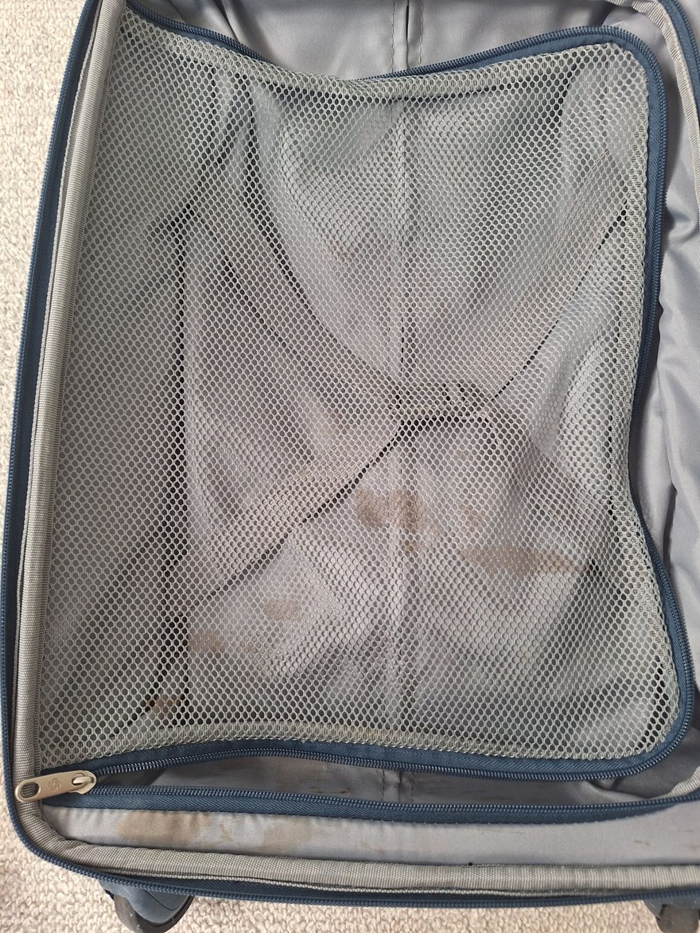 Samsonite Valigie: Samsonite Reisekoffer Handgepäck – Usato da Chur venduto da Spacecat 3