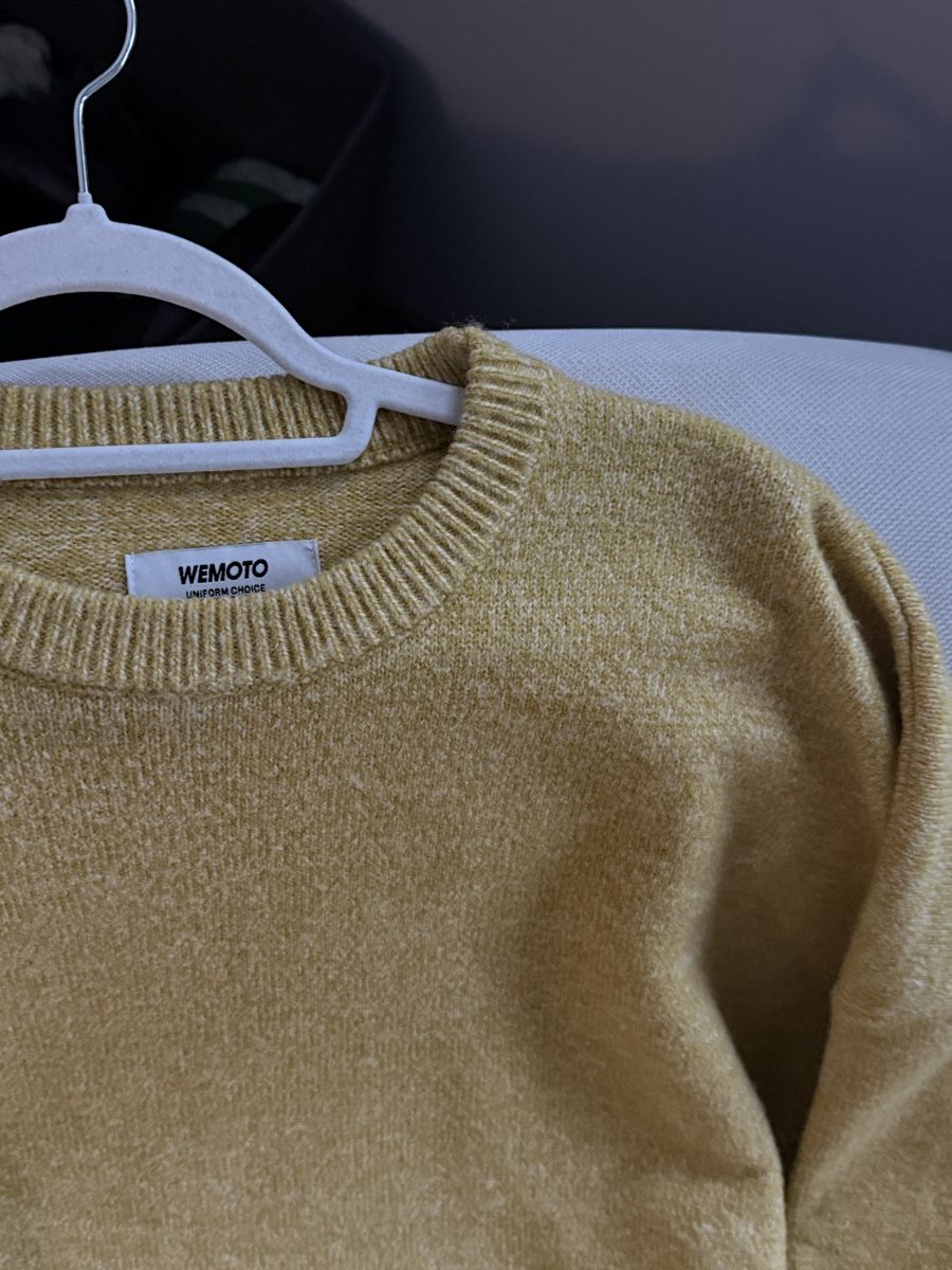 Pullover & Sweatshirts: Pullover unisex Grösse L – Gebraucht aus Zürich von lisa_grnbrg 1