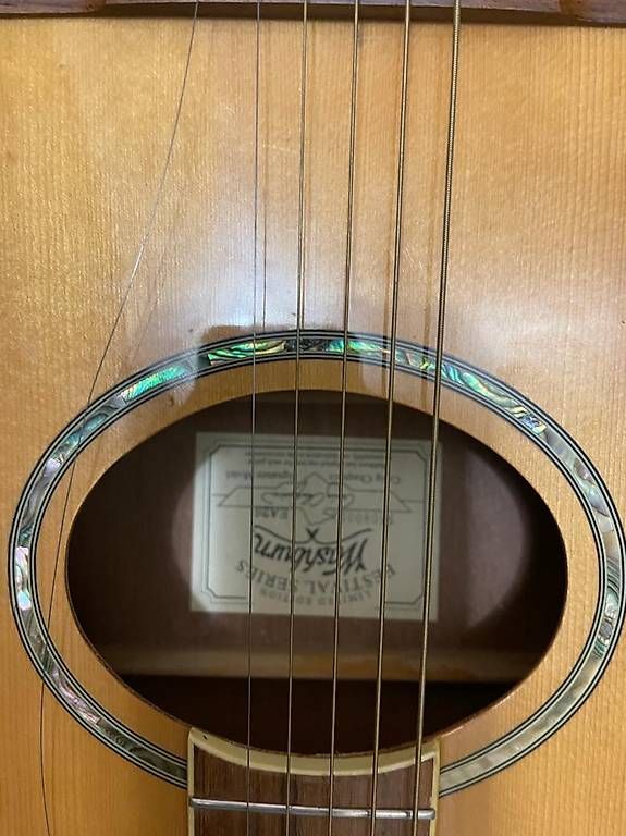 Washburn Strumenti musicali: Guitare Washburn E 26 – Usato da Savièse venduto da Jackpere 4