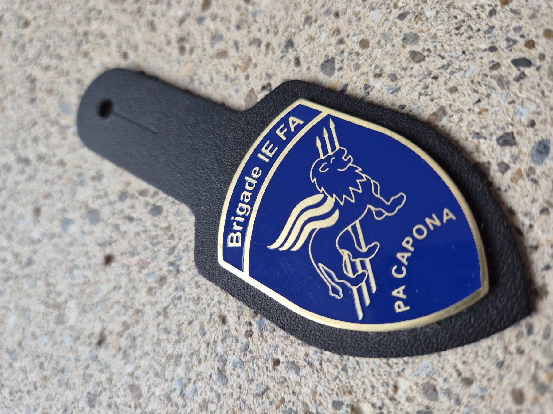 Schweizer Armee Placchette & Badge: *** Brustanhänger Luftwaffe PA Capona *** – Nuovo e nell'imballaggio originale da Riedholz venduto da fr_sIruP