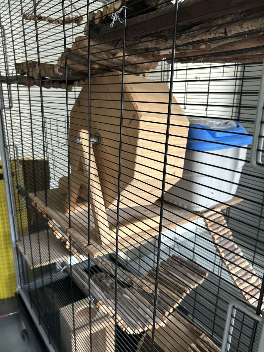 Käfige, Transport & Sicherheit: Tierkäfig – Gebraucht aus Kirchberg SG von irirob 9