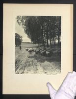 Fotografie Thomas Müller, Hamburg, Heid