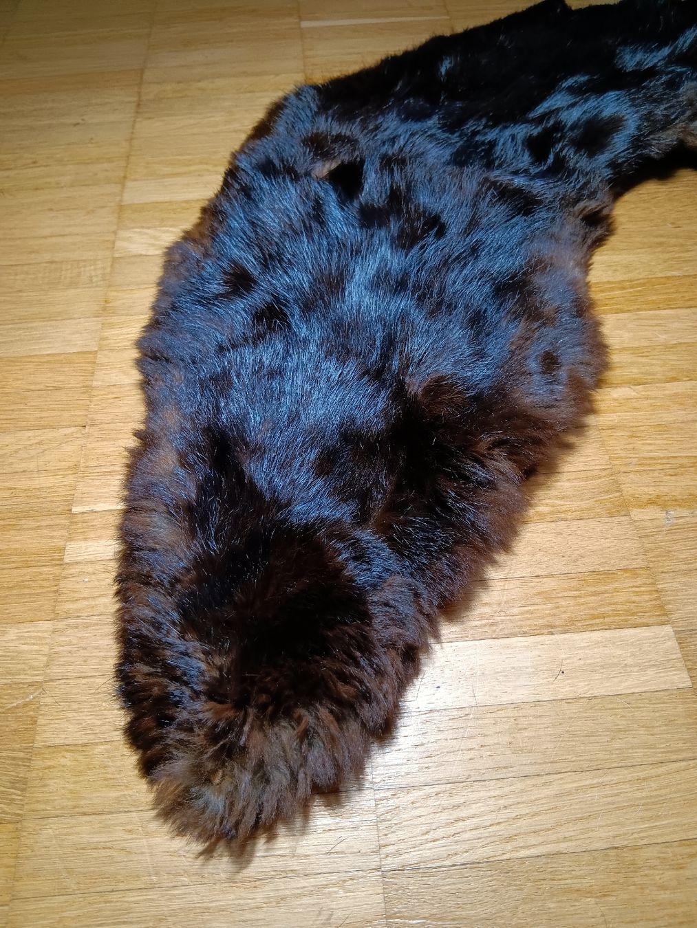 Foulard & Sciarpe: Pelzkragen, Winter Accessoire, Echtpelz – Usato da kölliken venduto da TerryCash 2