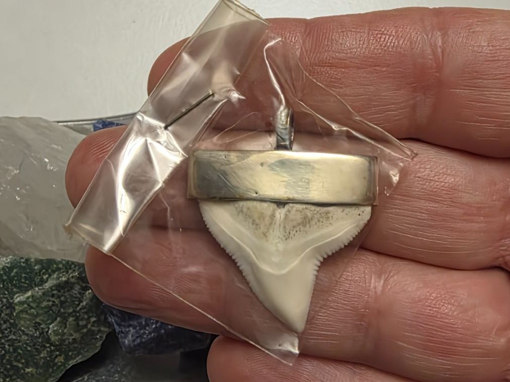 Ciondoli: Echter Haifischzahn in Silber gefasst – Nuovo e nell'imballaggio originale da Fislisbach venduto da Eye-Arts