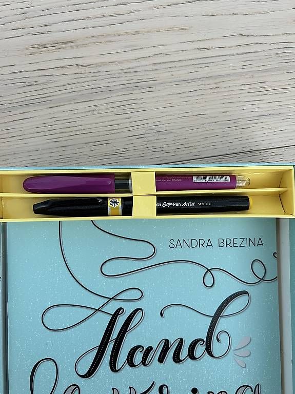 Libri: Hand lettering manuale e quaderno per esercizi – Usato da Gentilino venduto da ver_n6bc 2