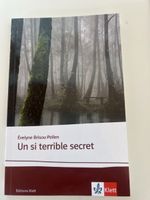 Un Si Terrible Secret (Évelyne Brisou-Pellen)