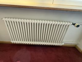 Klassischer Stahl-Rippenheizkörper mit Danfoss-Thermostat 