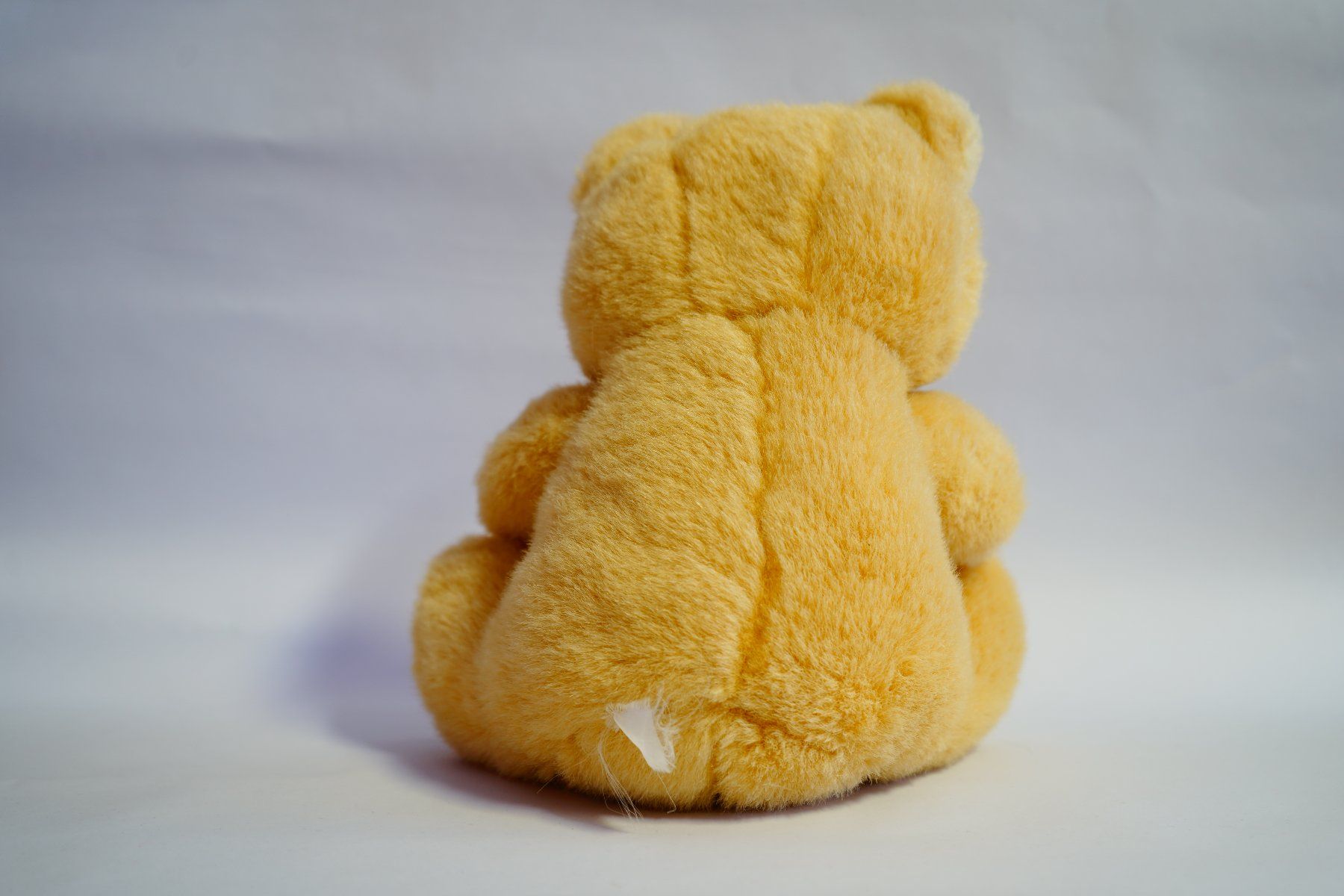 Jouets: Bär Kuscheltier – D'occasion à Ebikon par lin_jr8x 1