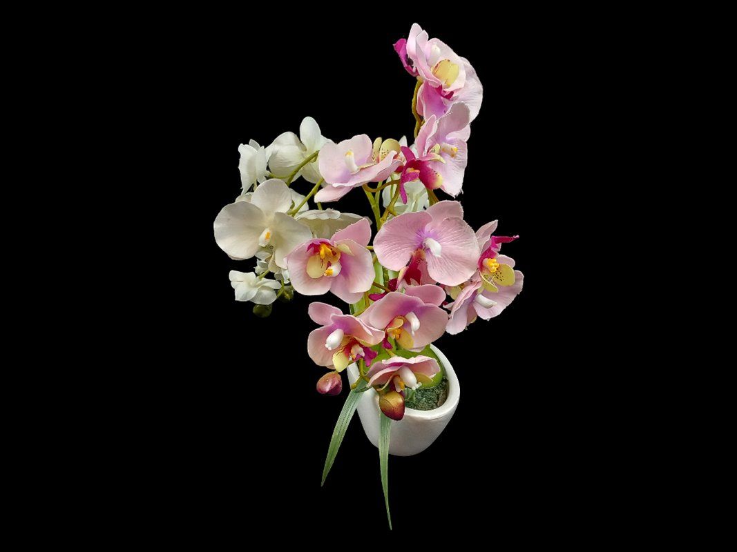 Tutte le decorazioni: Kunstpflanze Orchidee – Usato da Hünenberg venduto da Restwert_Zug 3