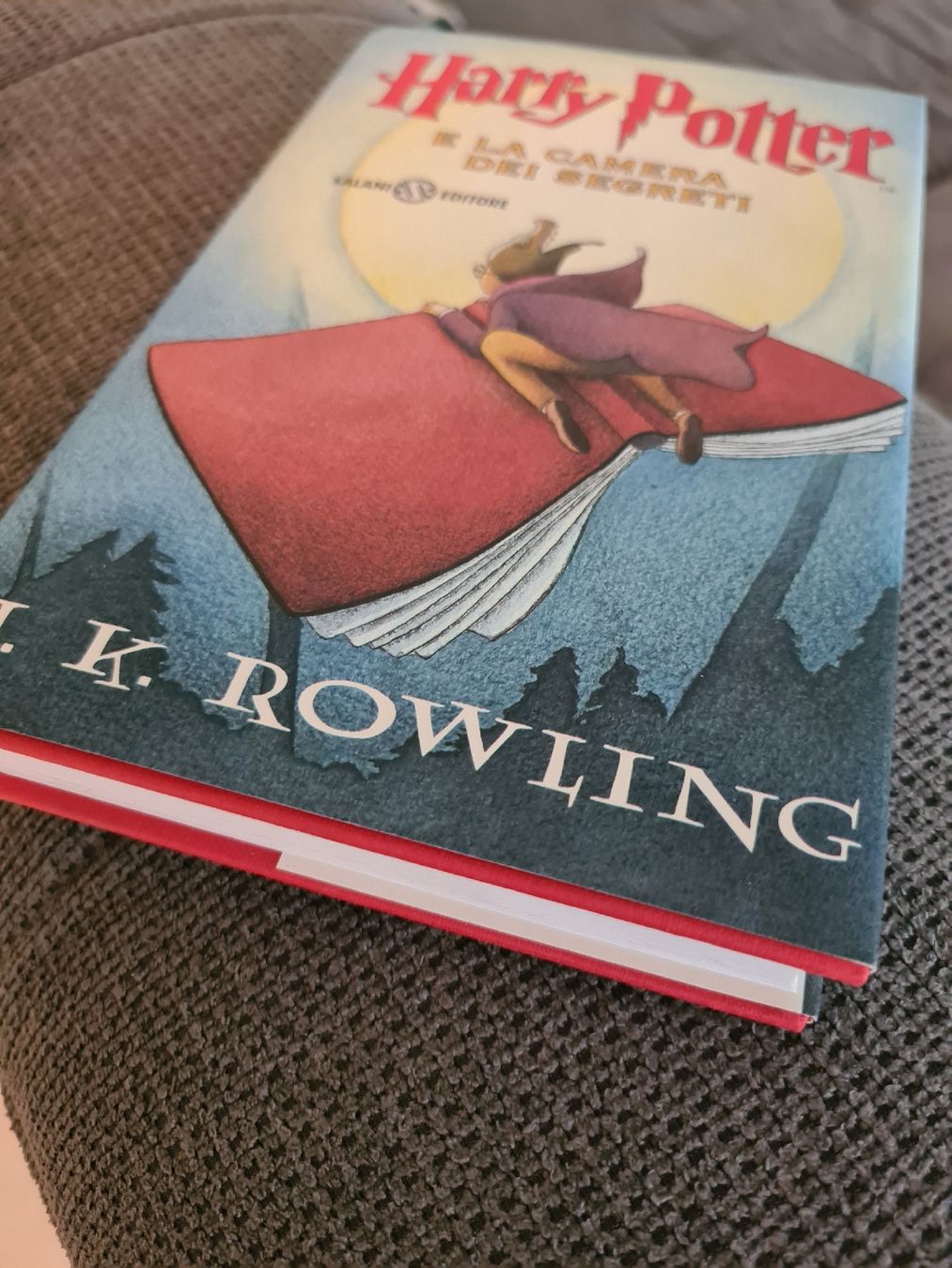 Libri: Harry Potter e la camera dei segreti, neu – Nuovo (secondo la descrizione) da Ebikon venduto da Songbird85 3