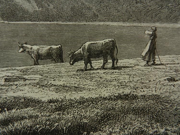 Gravures: Piz Corvatsch Silvaplana – D'occasion à Risch par Rischli15 8