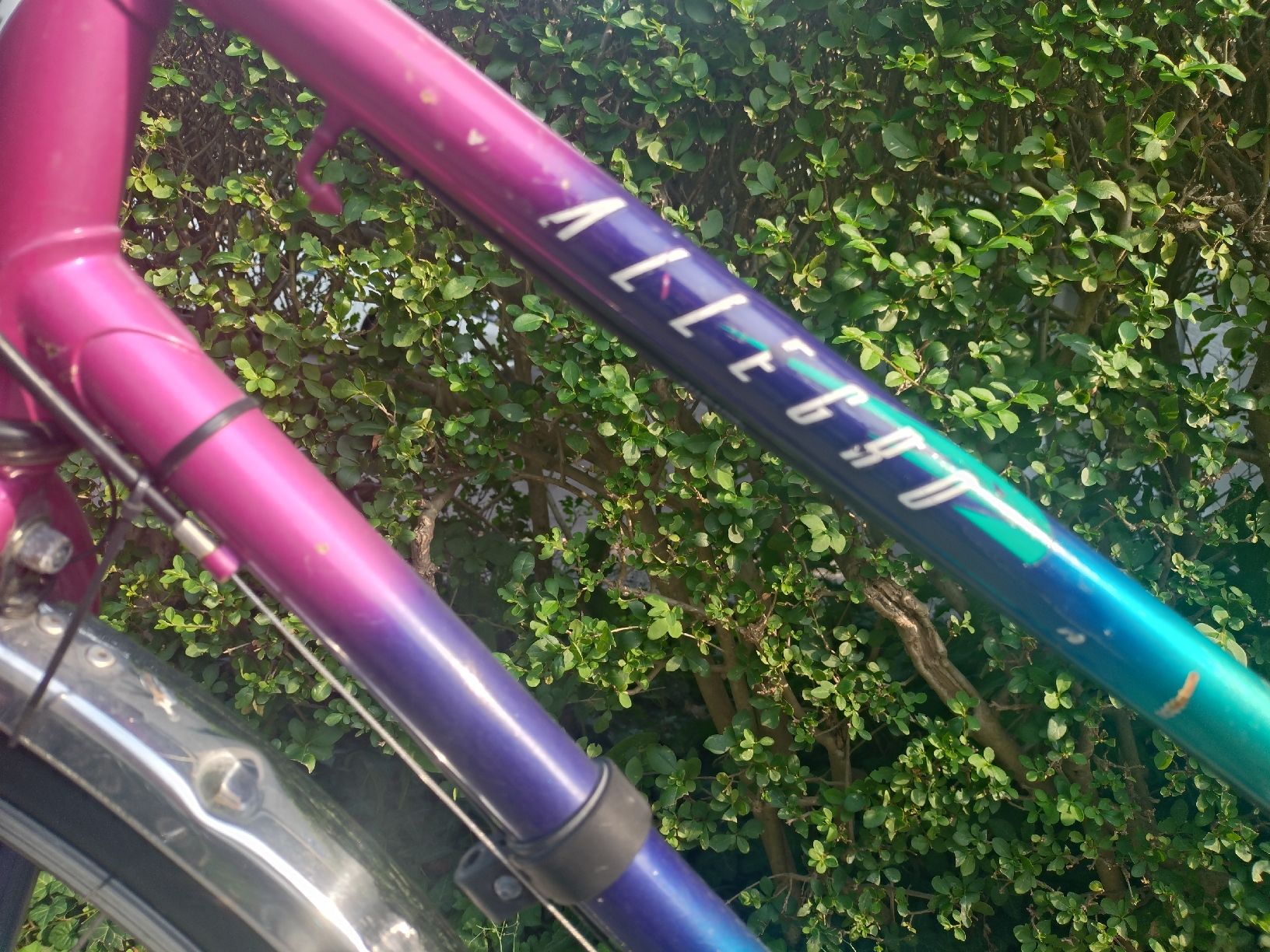 Velos: Velo Allegro – Gebraucht aus Zürich von Anelo 1