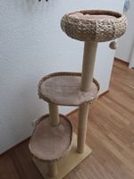 Katzenbaum
