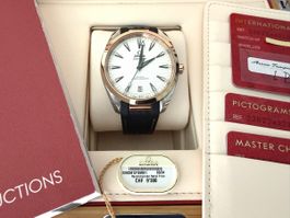Omega Aqua Terra 41mm Stahl/Gold 2024