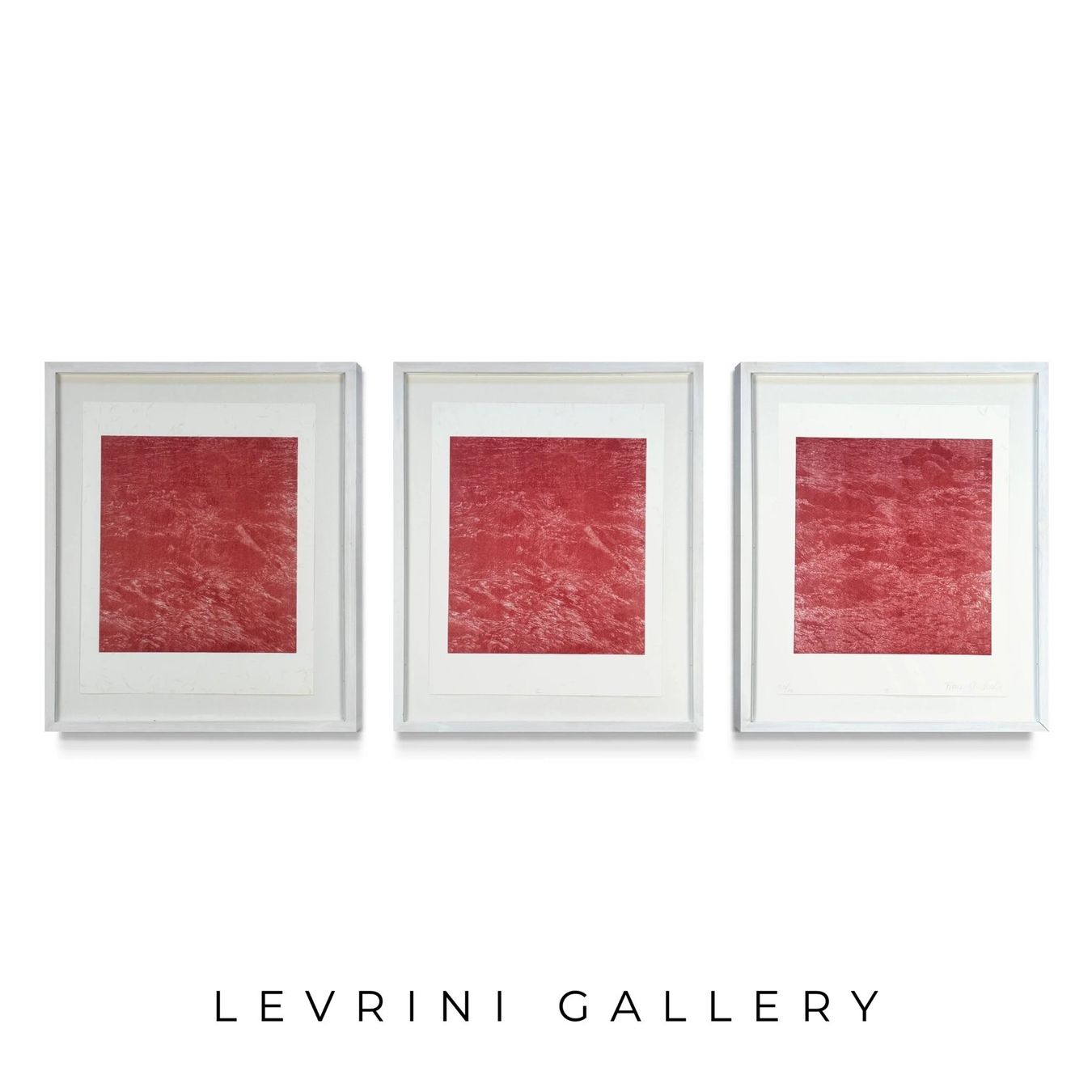 Grafica & Litografie: Franz Gertsch - Levrini Gallery – Usato da Gockhausen venduto da LevriniGallery