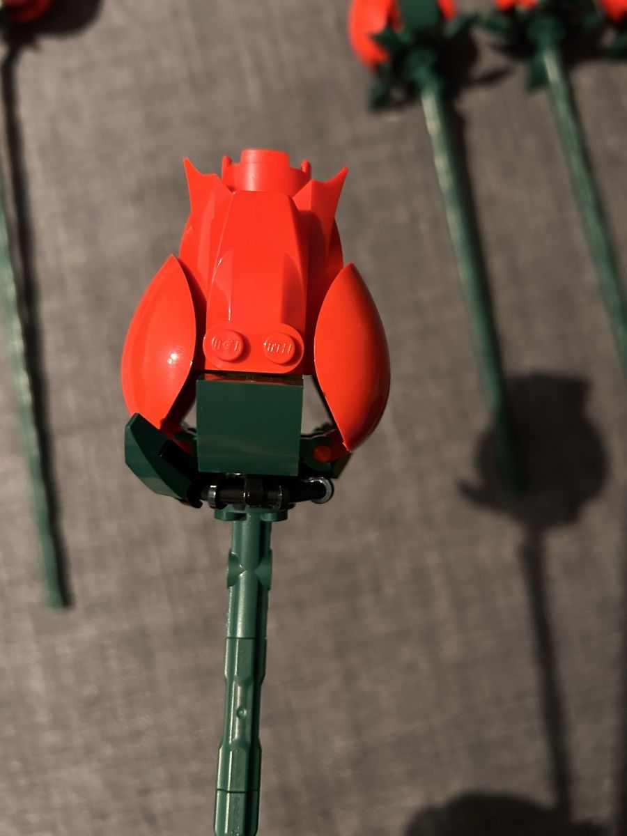 Lego Kit di costruzioni: LEGO® Spielbausteine Rosenstrauss – Usato da Erlinsbach SO venduto da hallon480 6