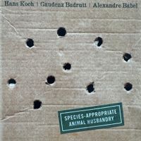 Hans Koch - Gaudenz Badrutt - Alexandre Babel (CD) 2013