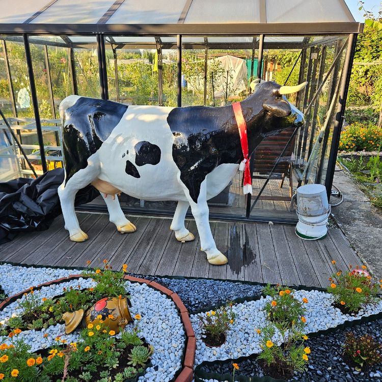 Lebensgroße DekoKuh für den Garten Kaufen auf Ricardo