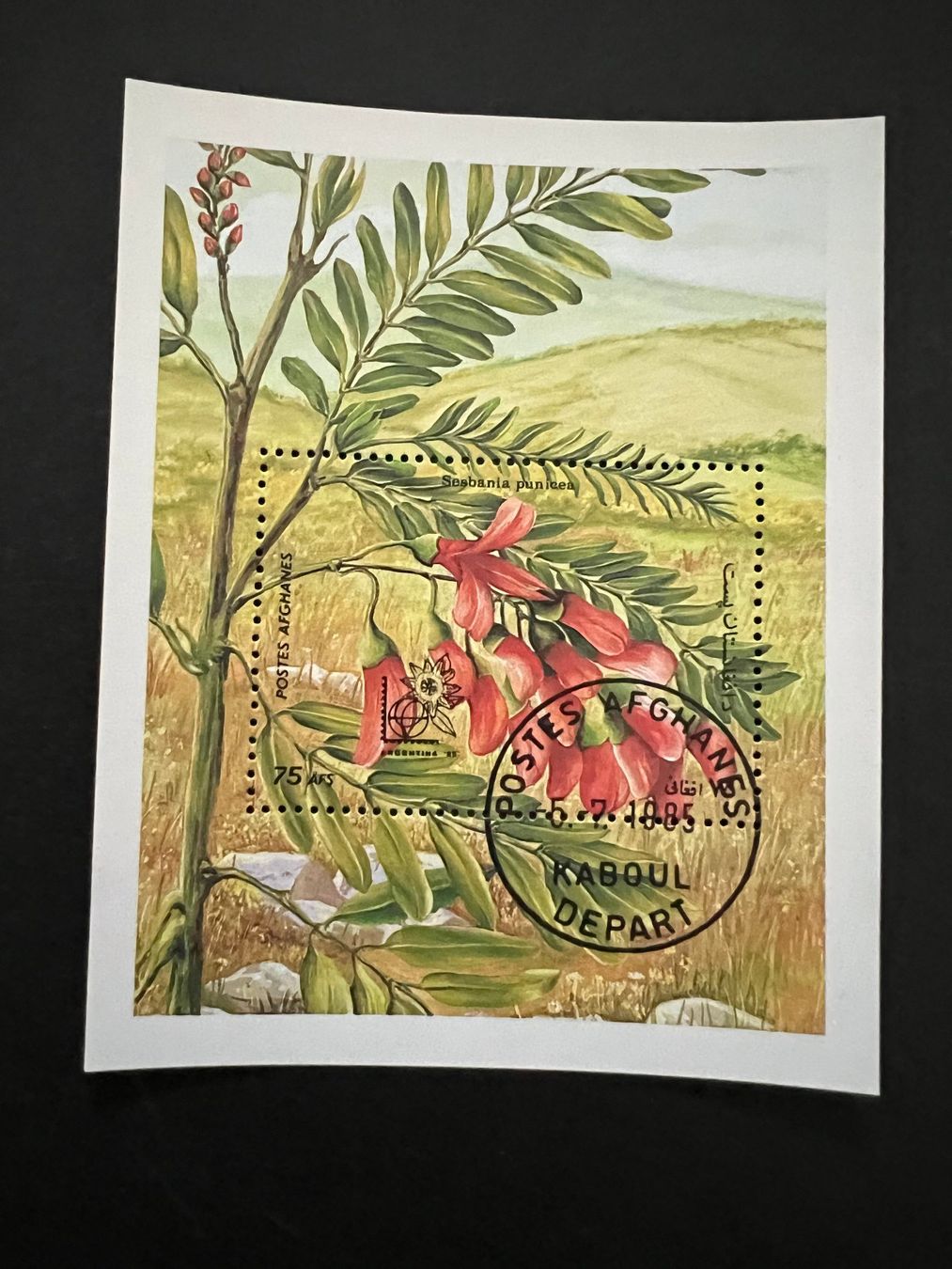 Tutti i francobolli: Afghanistan Orchideen Block gest. (D169) – Usato da Hinwil venduto da Sidi4