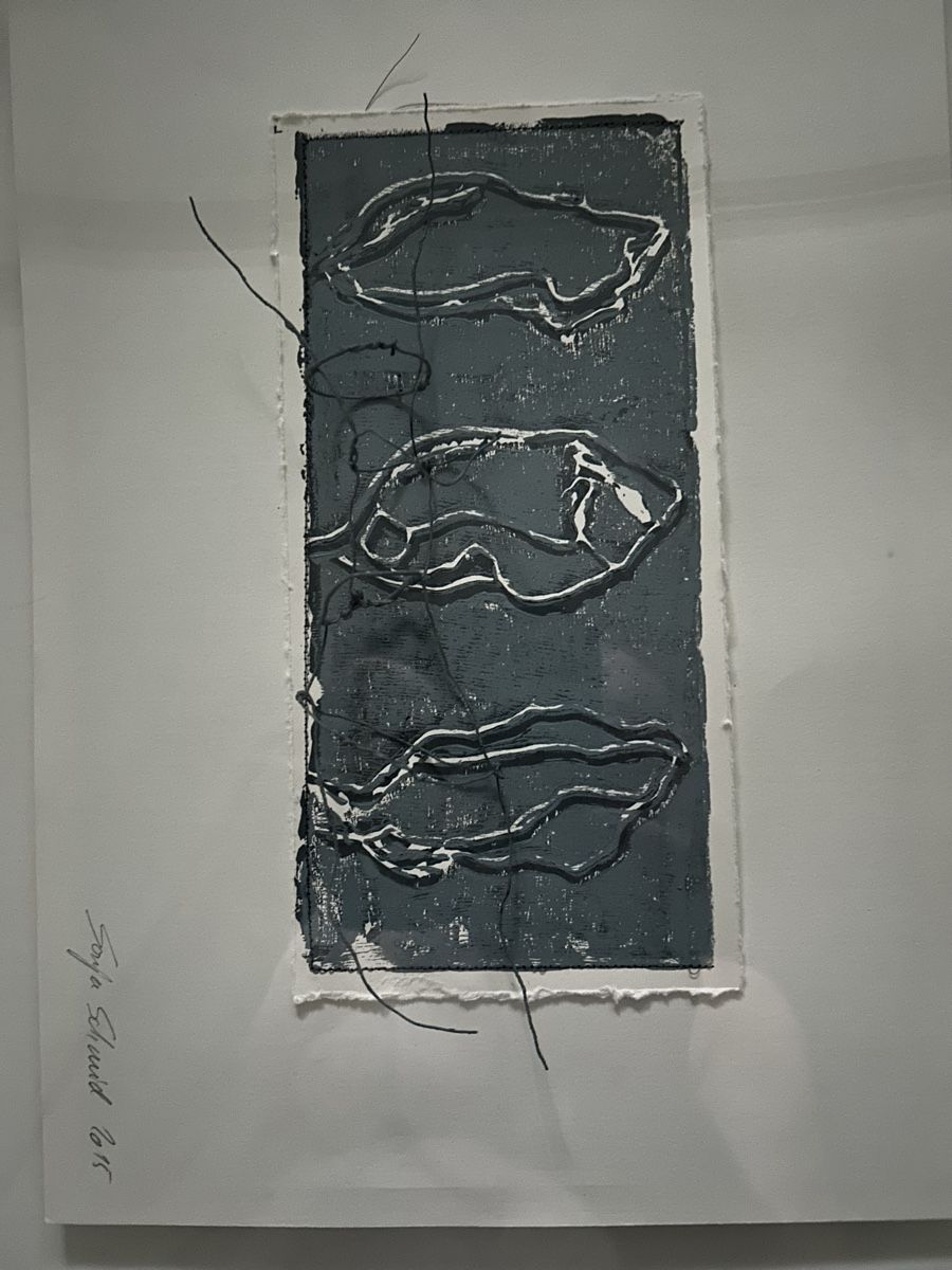 Dipinti: Sonja Schmid Papier 11 in Plexiglasbox – Usato da Frauenfeld venduto da Colonia64 5