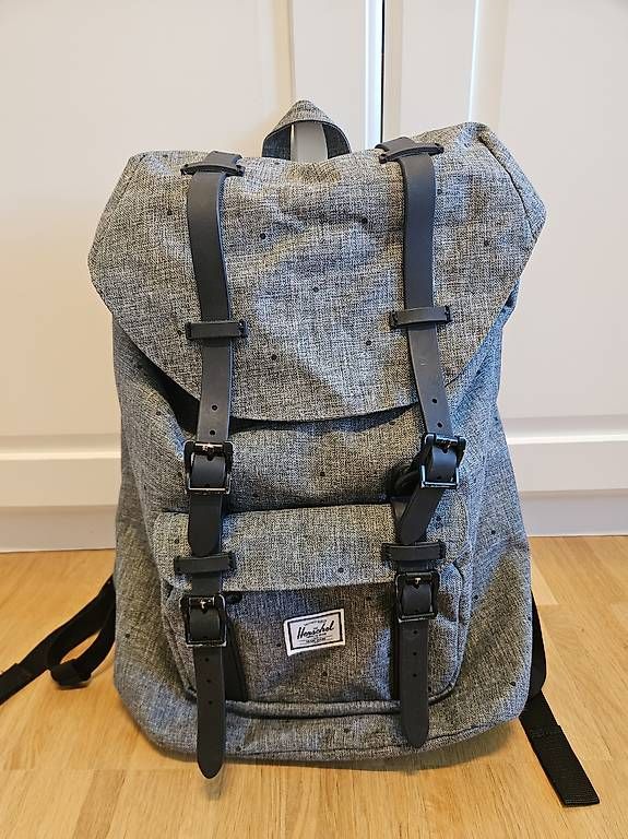 Herschel Zaini: Herschel Rucksack grau mit Punkte – Nuovo (secondo la descrizione) da Zürich venduto da leonard014