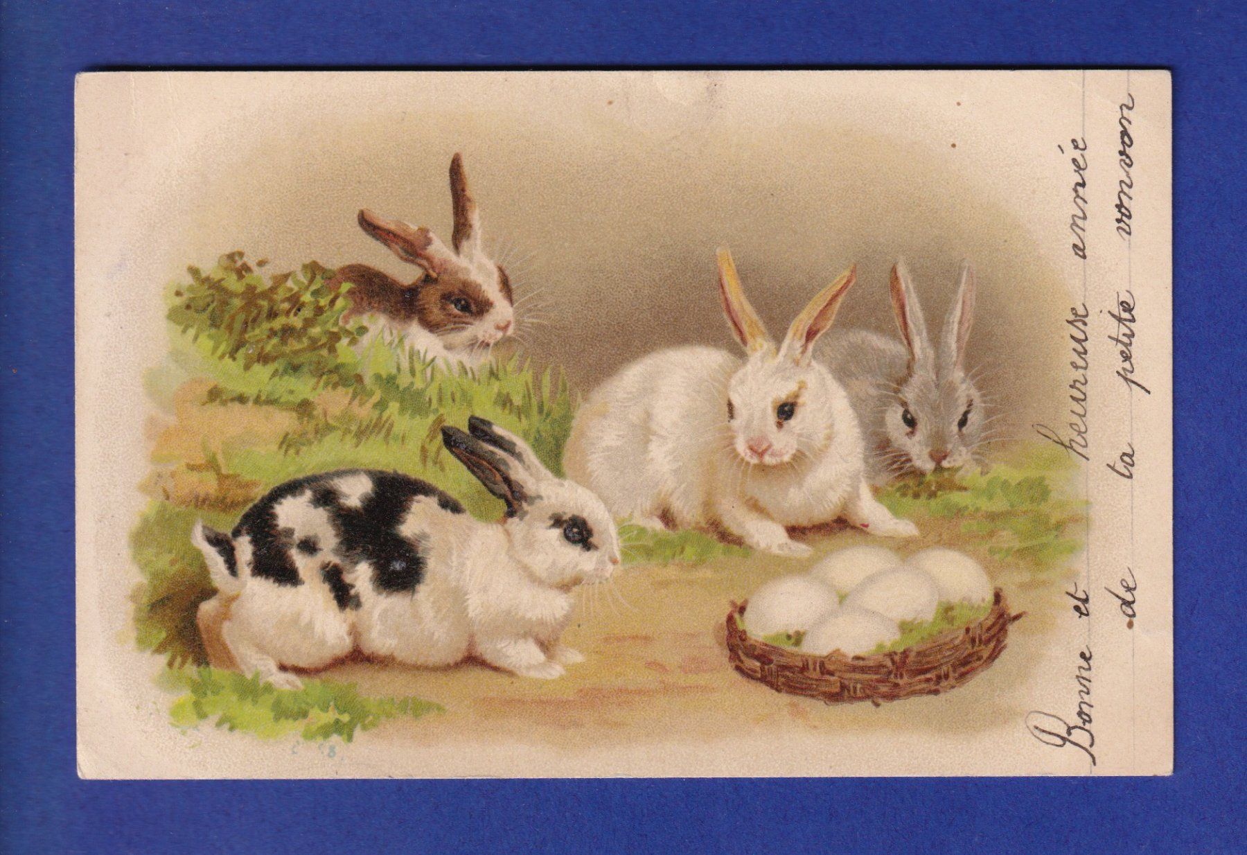 Cartes postales: LAPIN – D'occasion à Pully par nicecards-shop