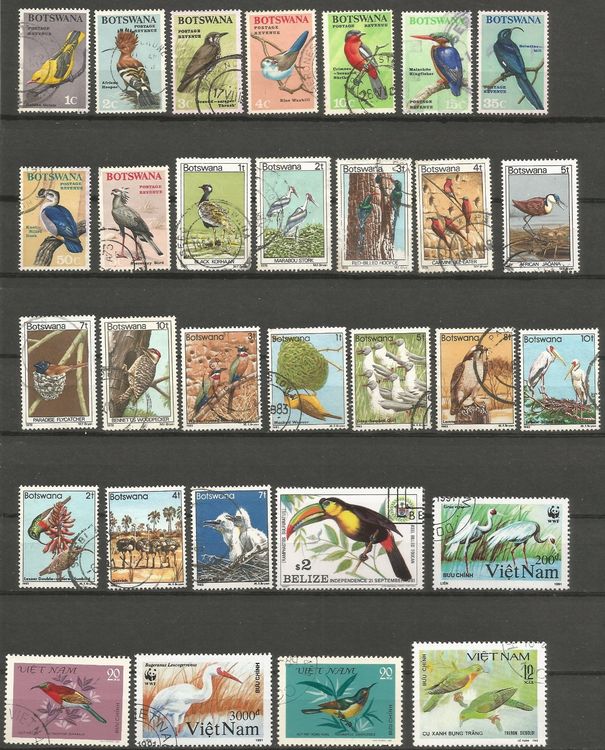 Motives Lot de 100 timbres oiseaux différents (timbres pour collectionneurs) Oiseaux