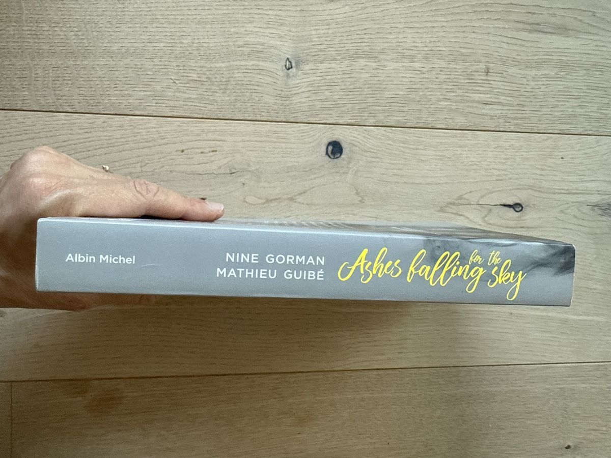 Bücher: Roman Nine Gorman "Ashes falling for the sky" comme neuf! – Neu (gemäss Beschreibung) aus Zürich von Irassa 2