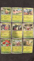 Pokémon Karten Sammlung - Top Zustand - Pfalnze Holo Set