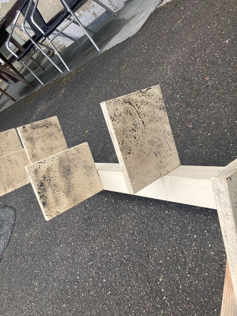 Leitern: Katzenleiter – Gebraucht aus Bern von rin_t5fy 2