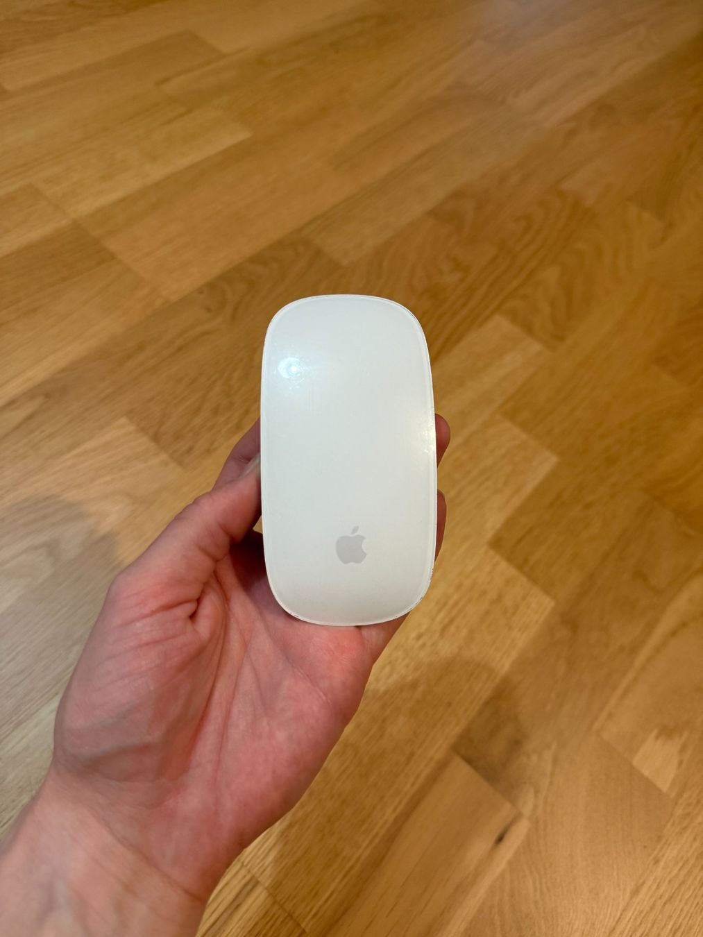 Apple Tastiere: Apple Magic Keyboard & Mouse 2024 Set – Usato da Winterthur venduto da derBieter 1