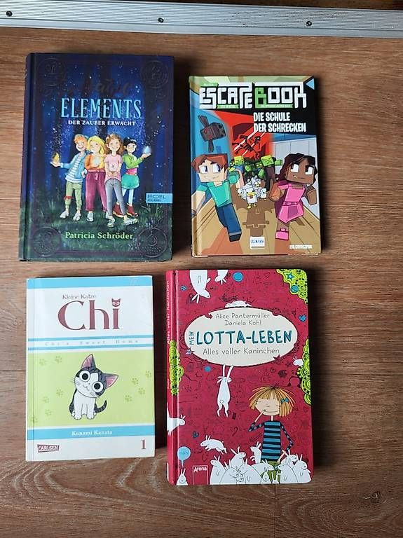 Libri: Verschiedene Kinderbücher, Jugendromane  – Usato da Windisch venduto da ank_6wwq