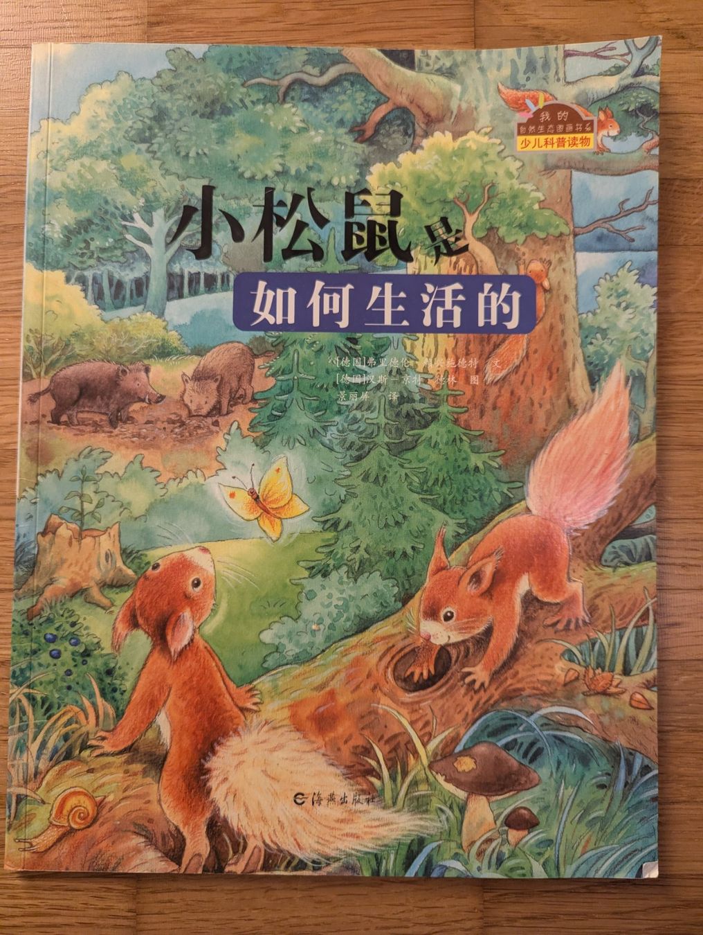 Libri: Chinesisches Kinderbuch: Das Leben eines Eichhörnchens – Usato da JONA venduto da gin_yl55