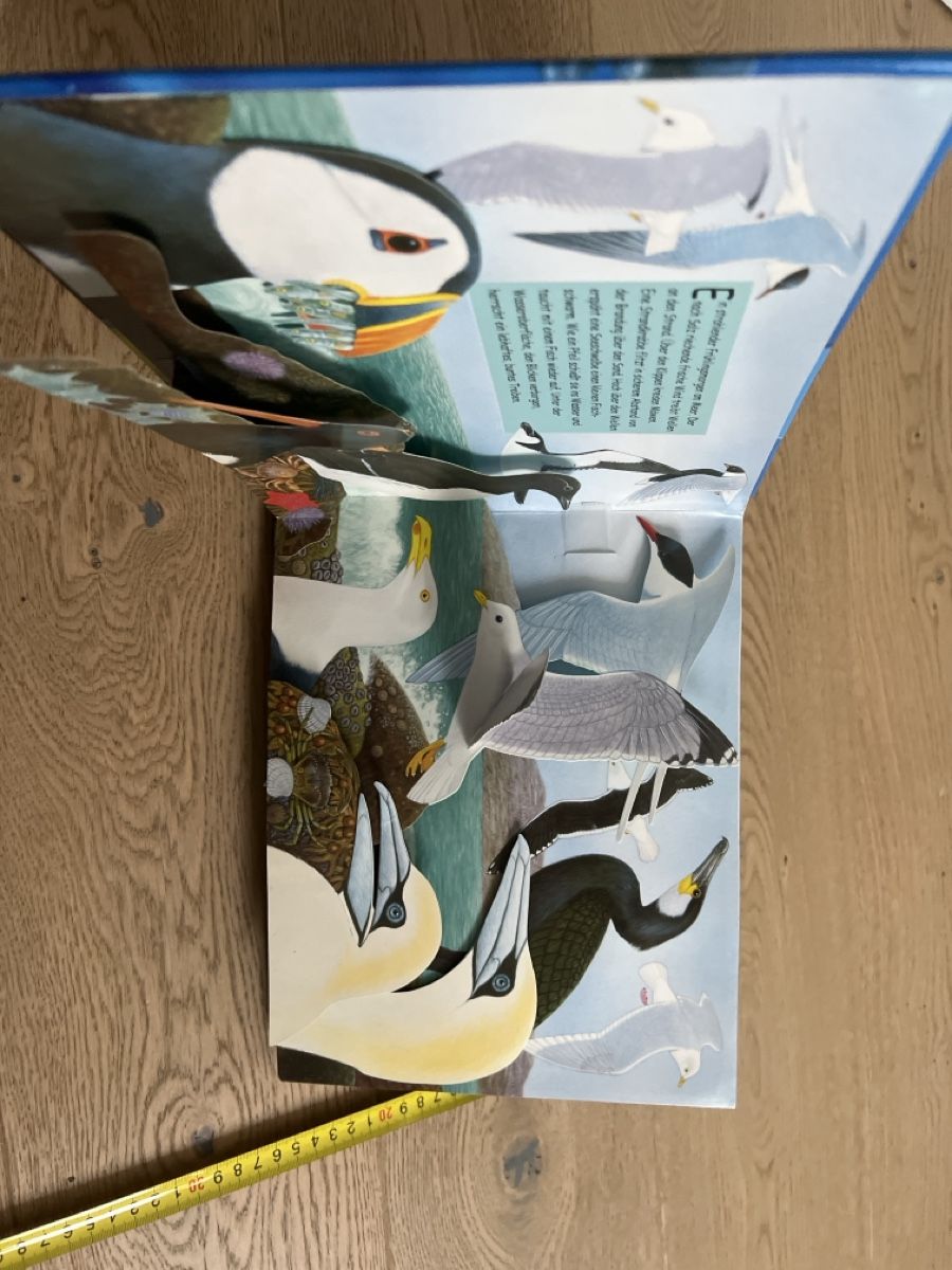 Libri: Zauberklang der Meere - Geräusche Pop-Up Buch  – Usato da Oensingen venduto da katepe 1