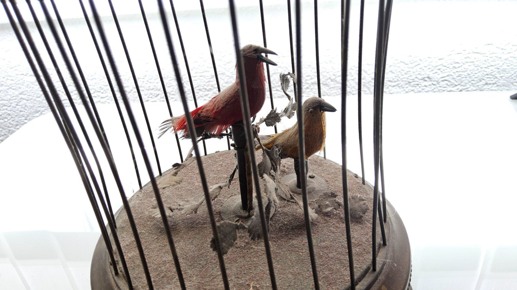 Carillon: Ancienne boîte à musique oiseaux chanteurs – Usato da Malleray venduto da Frederic24 6