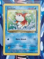 Goldeen - Goldini - Jungle Dschungel - Unlimited