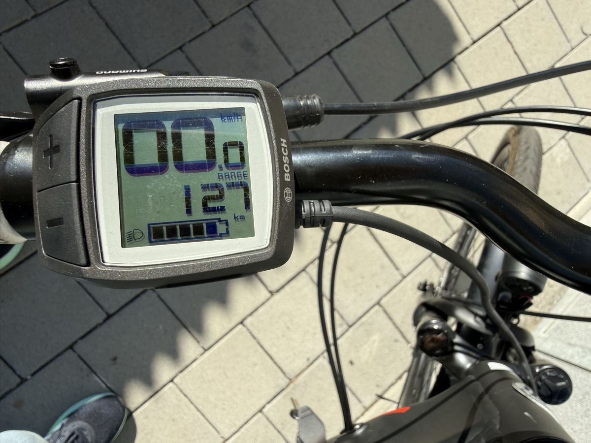 Bosch Biciclette: Viper E-Bike mit Bosch Active Line Motor – Usato da Oberentfelden venduto da bbe_nk5x 5
